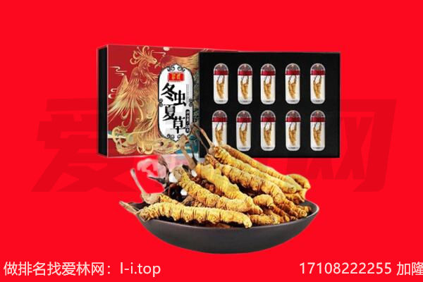 得荣县回收虫草.jpg